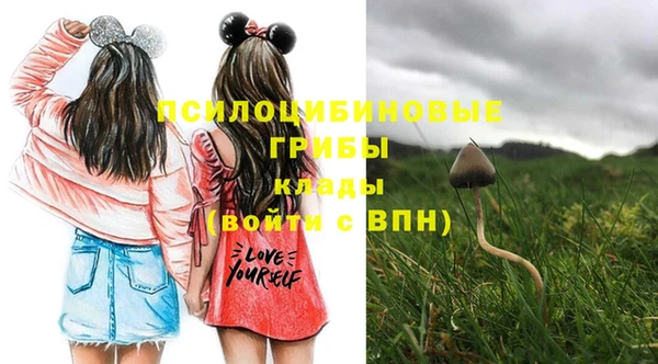 spice Богородск