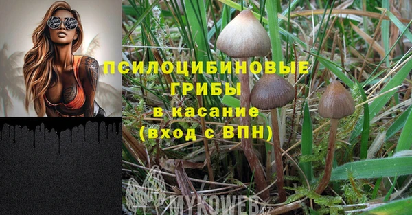 spice Богородск