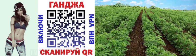 Каннабис White Widow  Неман 